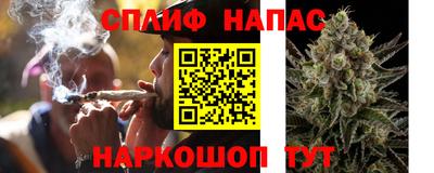 дмт Пенза