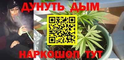 дмт Пенза