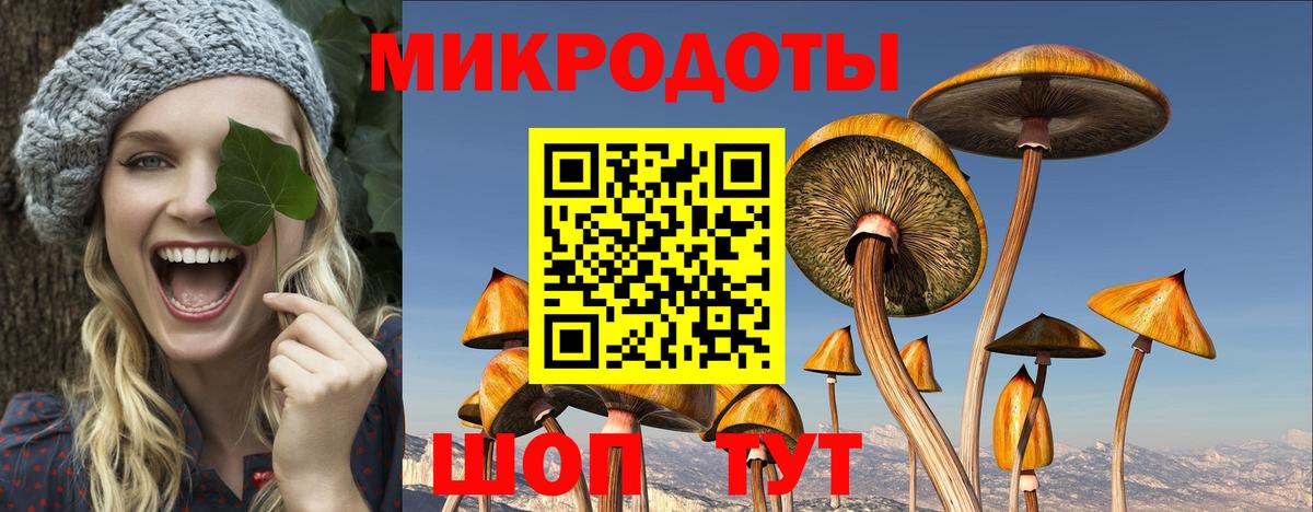 Псилоцибиновые грибы GOLDEN TEACHER  Вход с VPN  купить наркотик  Серов 